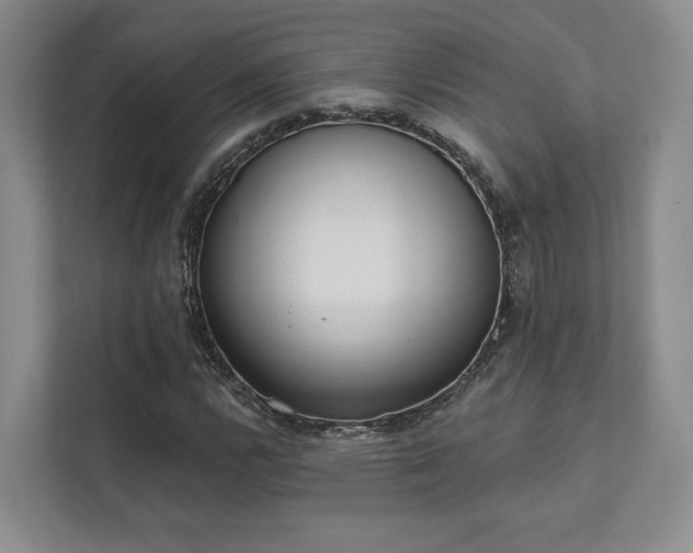 X0000111481112200907210943