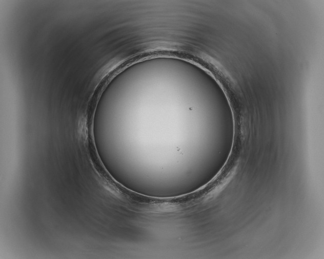 X0000111481113200907210943