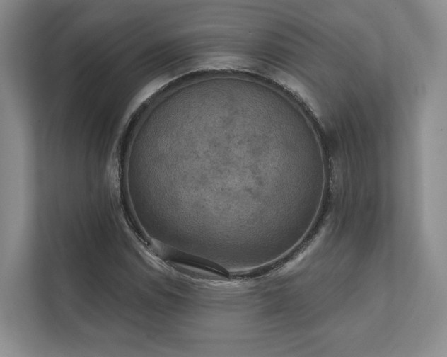 X0000111481114200907210943