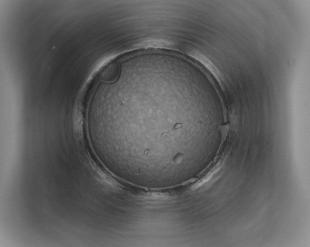X0000111481115200907210943