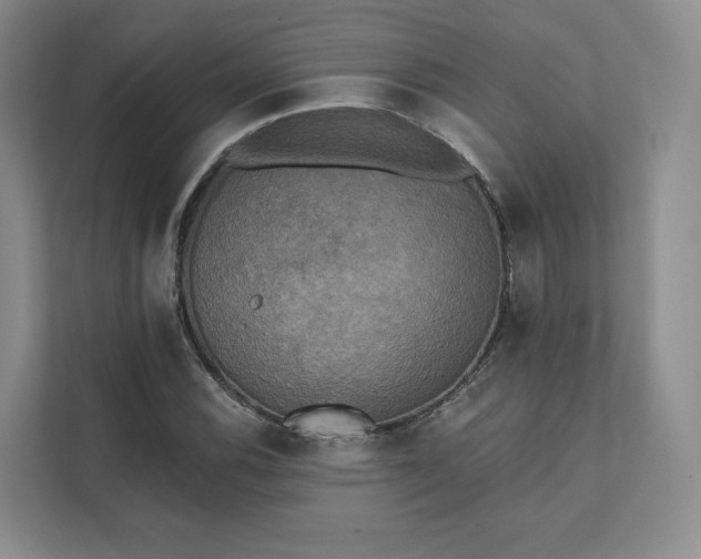 X0000111481116200907210943