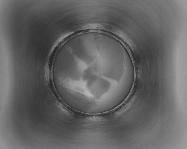 X0000111481117200907210943