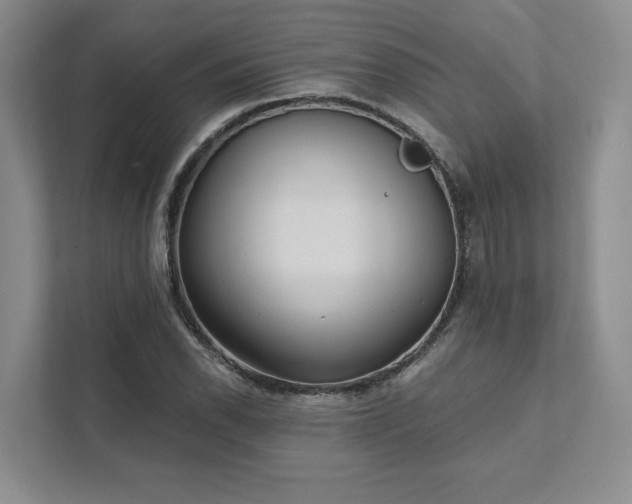 X0000111481118200907210943