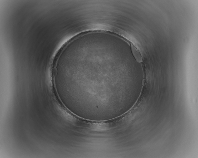 X0000111481120200907210943