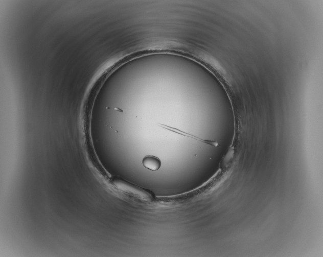 X0000111481122200907210943
