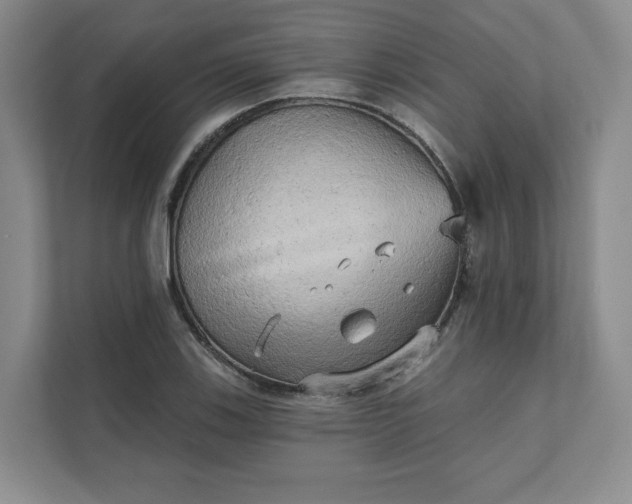 X0000111481123200907210943