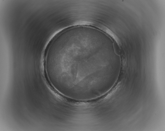 X0000111481124200907210943