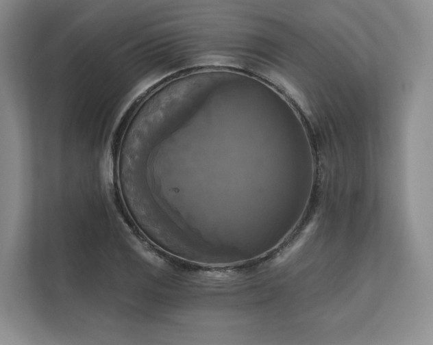 X0000111481125200907210943