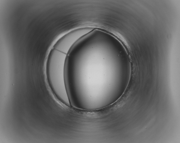 X0000111481128200907210943