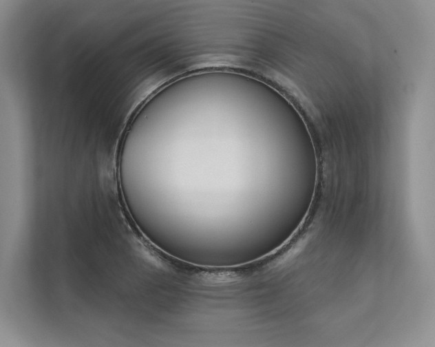 X0000111481129200907210943