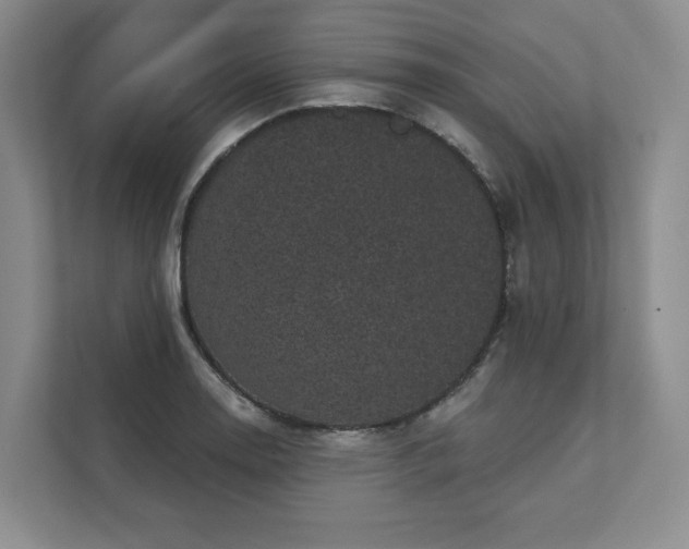 X0000111481130200907210943