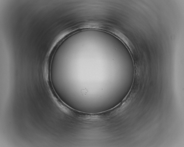 X0000111481131200907210943
