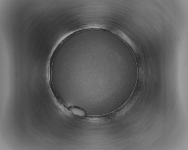 X0000111481132200907210943