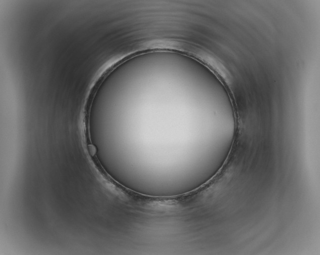 X0000111481133200907210943