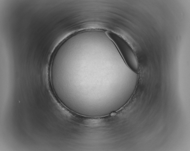 X0000111481134200907210943