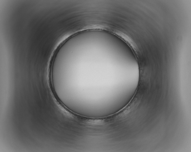 X0000111481135200907210943