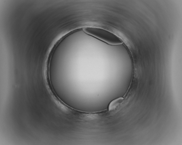 X0000111481136200907210943
