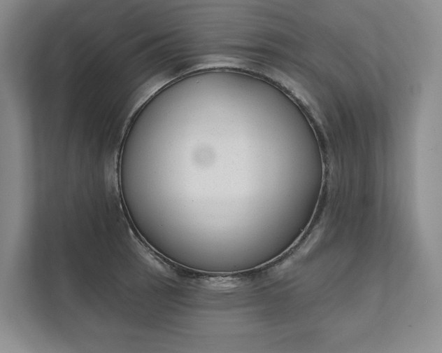 X0000111481137200907210943