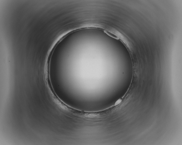 X0000111481140200907210943