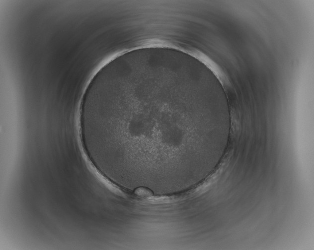 X0000111481142200907210943