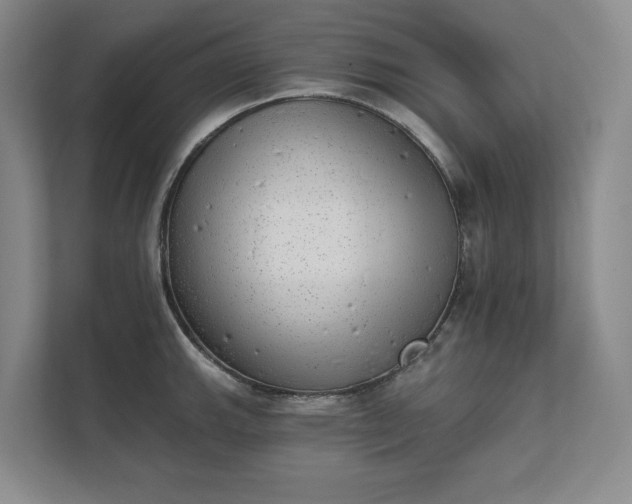 X0000111481143200907210943