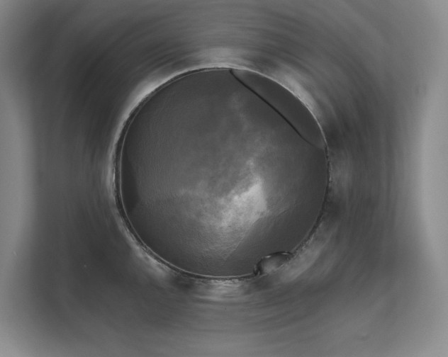 X0000111481144200907210943
