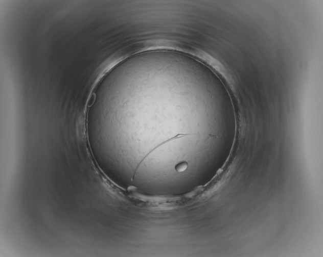 X0000111481145200907210943