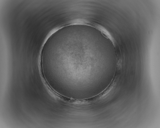 X0000111481146200907210943