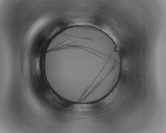 X0000111481150200907210943