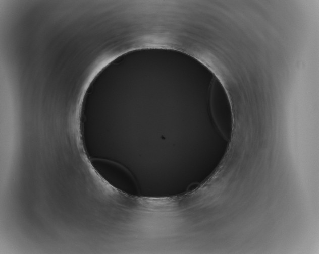 X0000111481152200907210943
