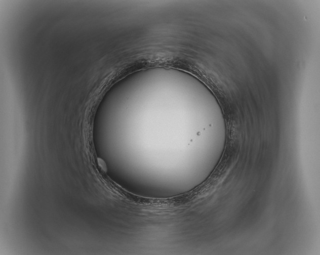 X0000111481153200907210943