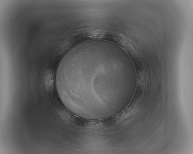 X0000111481154200907210943