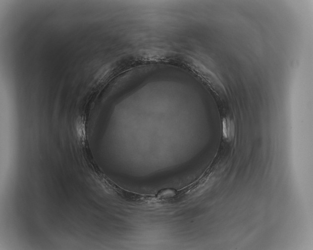X0000111481155200907210943