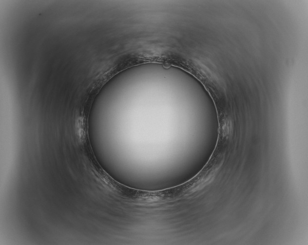 X0000111481156200907210943