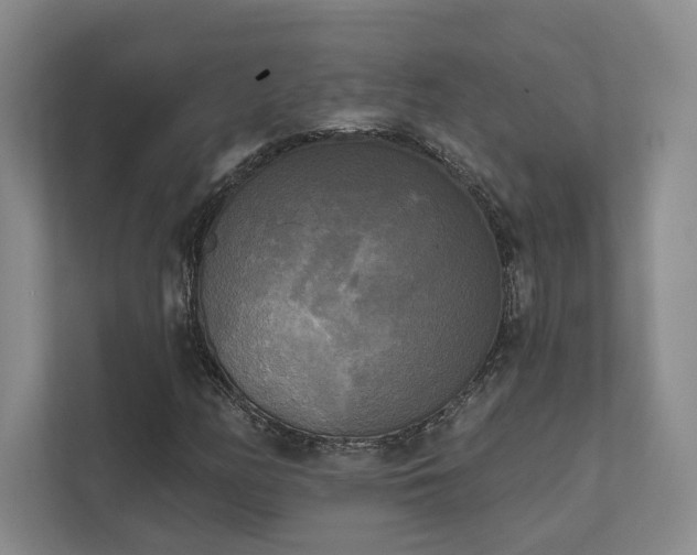X0000111481158200907210943