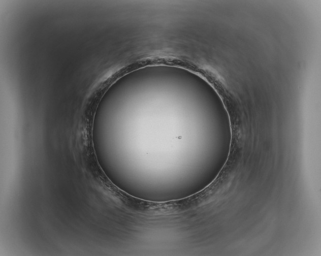 X0000111481159200907210943