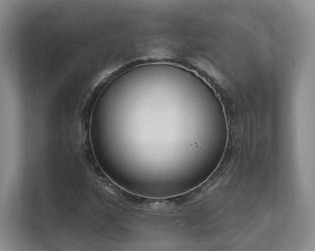 X0000111481160200907210943