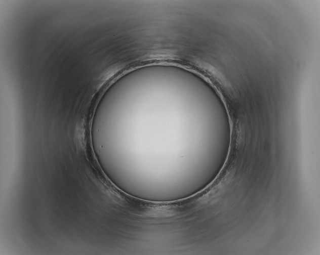 X0000111481162200907210943