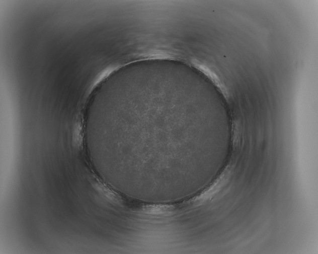 X0000111481163200907210943