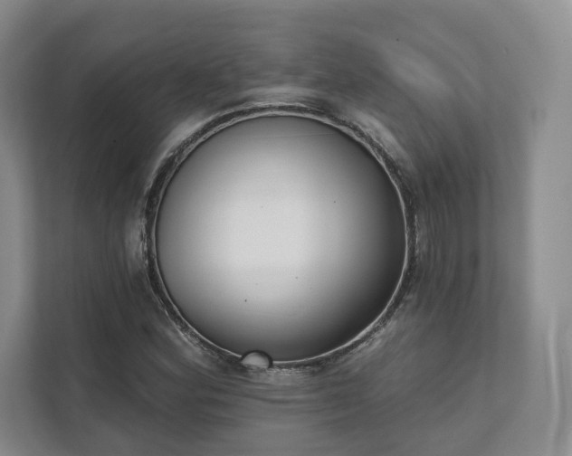 X0000111481164200907210943