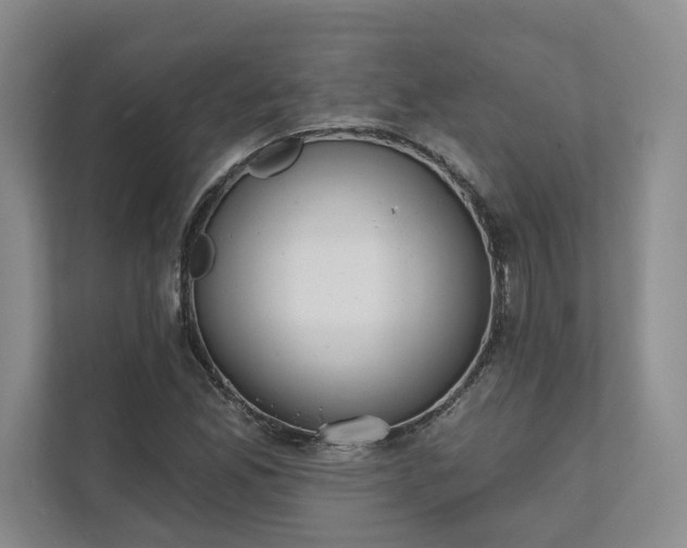X0000111481165200907210943