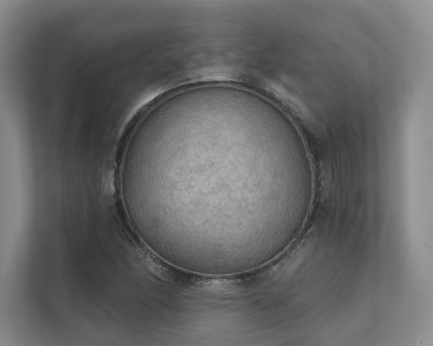 X0000111481166200907210943