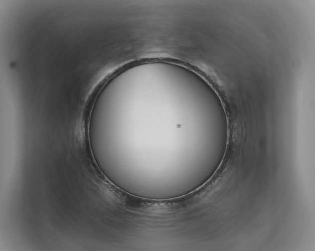 X0000111481167200907210943