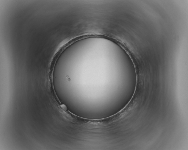 X0000111481168200907210942