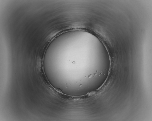 X0000111481169200907210942