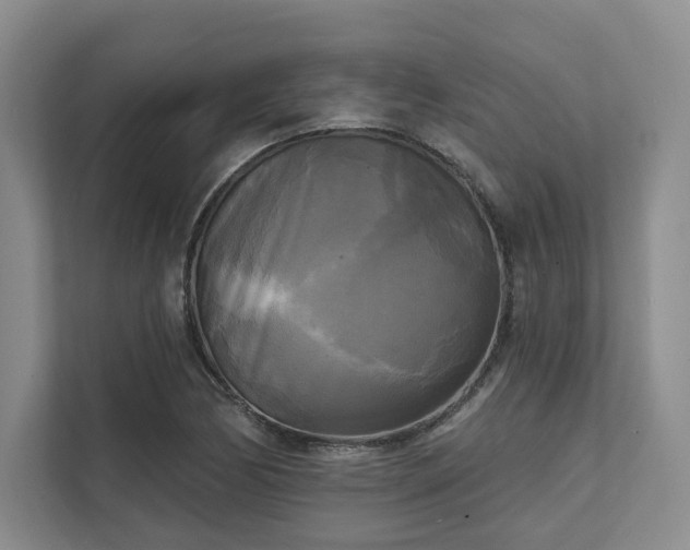 X0000111481170200907210942