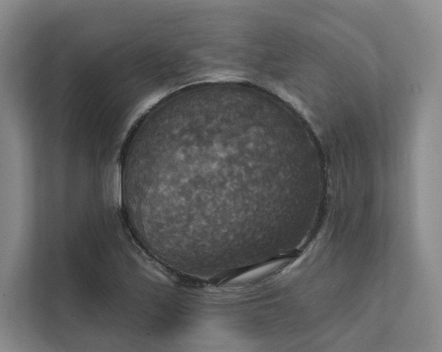 X0000111481171200907210942