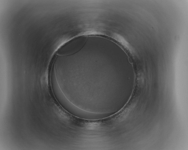 X0000111481173200907210942