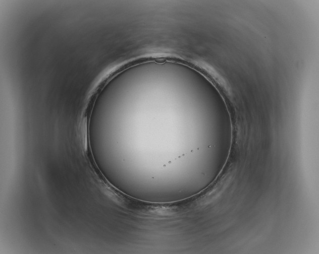 X0000111481175200907210942