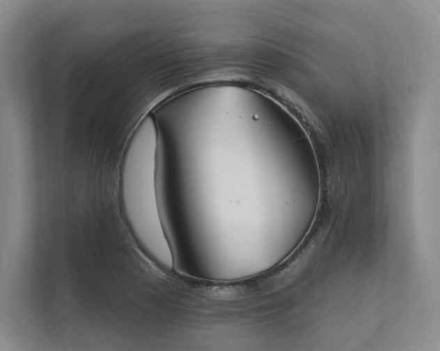 X0000111481177200907210942